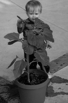 Austin, touching the plant