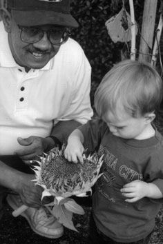 Austin finding seeds