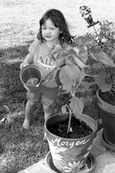 Morgen watering, 05-20-08