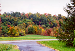 Changing of the colors